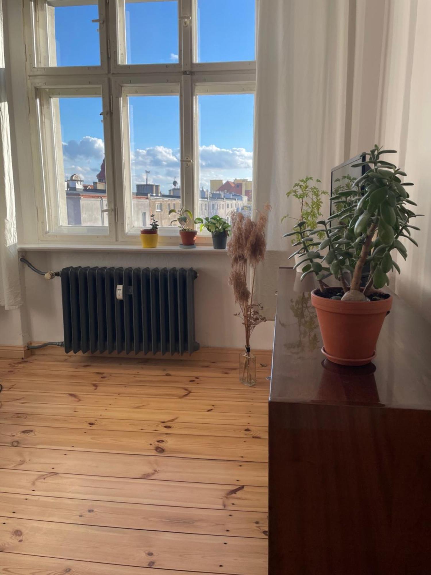 Stary Toruń Sentymenty - Apartamenty W Kamienicy Na Mickiewicza מראה חיצוני תמונה